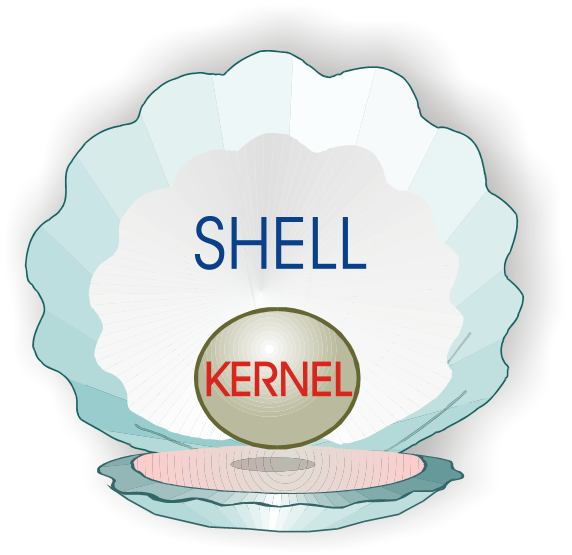 shell